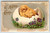 Easter Postcard Baby Chick Vintage Greetings Cracked Egg Purple Flowers Embossed