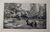 Sea Lions St louis Zoo 1947 Vintage Unposted Swimming And Diving Missouri Park