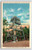 Observation Tower On Clingman's Dome Great Smoky Mountains NC Linen Postcard