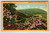 Postcard Rhododendron State Flower West Virginia Linen Curt Teich Vintage