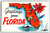 Postcard Greetings From Florida Map Chrome Key West Boats Beach Flower Unposted