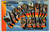 Greetings From Wisconsin Dells Large Big Letter City Postcard Curt Teich 1950
