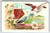 Christmas Postcard Raphael Tuck Pigeon Birds Daisies Flowers 1905 Undivided Back