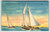 Sail Boats Sunny Florida Postcard Linen 1941 Sailing Ships Tichnor Brothers