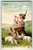 Easter Postcard Boy Plays Clarinet Sheep Shepherd Embossed EAS Germany Unused