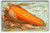 Thanksgiving Postcard Giant Corn Cob Embossed Vintage Holiday Greetings 1910