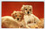 Cocker Spaniel Puppy Dogs By Pillows Postcard Chrome Vintage Cute Unposted