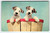 Fox Terrier Puppy Dogs In Wicker Basket Postcard Chrome Vintage Cute Unposted