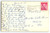 Kittens Cats In Basket Postcard Chrome 1965 Greeting From East Tawas Michigan