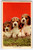 Basset Hound Puppy Dogs Can We Go Play Vintage Postcard Chrome 1968 Cute Animals