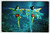 Postcard Weeki Wachee Lady Mermaids Performers Underwater Dancing Act Chrome