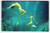 Weeki Wachee Mermaids Florida Postcard Women Perform Underwater Chrome Unused