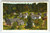Le Conte Lodge Mount Le Conte Great Smokey Park North Carolina Linen Postcard