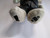 Motorcycle Grey Leather Bear In Bandana Stamp Plush Toy Doll Figure Tags 2003