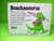 Beachasaurus Cliff Galbraith Beach Dinosaur Holds Boom Box Radio Retro 1986 Sign