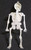 Halloween Skeleton Toy Dangler 9" Tall Vintage Undead 1960s Hong Kong Horror