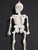 Halloween Skeleton Toy Dangler 9" Tall Vintage Undead 1960s Hong Kong Horror