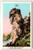 Chimney Rock 225 Feet Hight Western North Carolina Linen Postcard Unused NC