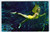 Weeki Wachee Florida Postcard Winged Swimsuit Mermaid Underwater Show Chrome