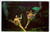 Weeki Wachee Florida Postcard Swimsuit Mermaids Underwater Show Vintage Chrome