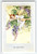 The Vetch Fairy Postcard Winged Sprite Flower Fantasy Rene Cloke Valentine Sons
