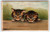 Two Cats Perched Blue Eyed Calico Kittens Cute Vintage Antique 1910 Germany