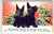 Scotty Dogs Postcard A Taylor Scottish Terrier Puppy Good Luck Horseshoe Antique