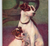 Jack Russell Terriers Father And Son Dogs Postcard Puppy Vintage Antique