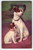 Jack Russell Terriers Father And Son Dogs Postcard Puppy Vintage Antique