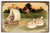 Fantasy Postcard Swans Pull Sailboat Purple Flowers Country Cottage 1909 Germany