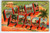 Greetings From Miami Beach Florida Large Letter Linen Postcard Curt Teich 1952