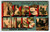 Greetings From Black Hills South Dakota Large Letter Postcard Linen Metropolitan