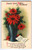 Christmas Postcard Poinsettias Flowers Plant In Vase Wolf Series 26 Vintage