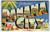 Greetings From Panama City Florida Large Letter Linen Postcard Curt Teich Beach