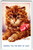 Antique Kitten Cat Postcard Orange Fluffy With Red Ribbon Signed Taylor Bamforth