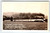 Railroad Postcard SOUTHERN PACIFIC Daylight Locomotive Real Photo RPPC Vintage