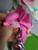 Annalee 8" Pink Circus Clown 1990 Felt Poseable Doll Christmas With Balloon
