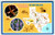 Greetings From Texas Map Postcard Armadillo Longhorn Blue Bonnets Chrome Regal