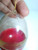 Vintage Plastic Egg Ornament Kittens Christmas Miniature Book McCue Little Simon