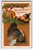 Thanksgiving Postcard Turkey Embossed Crops Fruits Vintage Greetings Series B 29