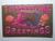 Thanksgiving Postcard Airbrushed Turkey Pumpkins Deep Embossed 1909 Antique