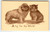 A Fig For The World Cat and Pekingese Dog Postcard Vintage Pets As Friends