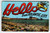 Hello Greetings From Atlantic City New Jersey Steel Pier 1949 Postcard Linen