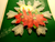 Snowflake Christmas 3-D Greeting Card Candle Ornaments Retro Mid Century Raised