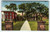 University Of GA Georgia College Athens Georgia Postcard Linen Vintage Unposted
