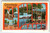 Greetings From Bar Harbor Maine 1950's Vintage Large Letter Postcard Linen 1953