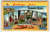 Vintage Greetings from Rehoboth Beach Delaware Postcard Curt Teich Linen 1940's