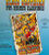 Fabtek Blood Brothers Arcade FLYER Original Video Retro Wild West Artwork 1990