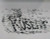 Koseff's Surf Shop Printers Block Ink Stamp Letter Press Ocean Waves Surfing