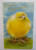 Easter Greetings Postcard Giant Puffy Baby Chick Blue Skies Vintage Original